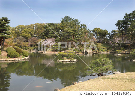 廣島縮景園 春天 104186343