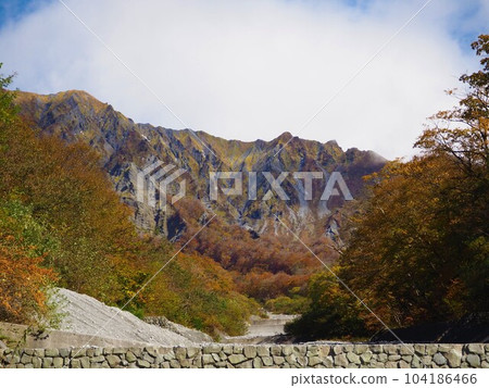 Beautiful autumnal scenery of Tottori / Oyama's first, second and third swamps 104186466