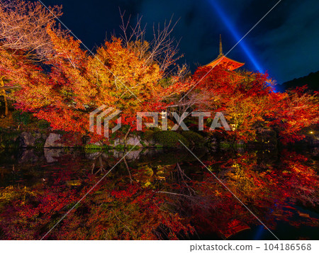 [Sightseeing] Kyoto's Kiyomizu-dera Temple lit up at night in autumn Hi-Res for printing 104186568
