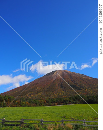 從大山牧場牛奶之裡眺望鳥取和大山 104186907