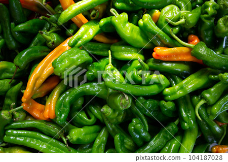 Bell pepper for sale on counter of farmer market. Agricultural products 104187028