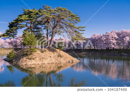 《Nagano Prefecture》 Rokudo no Tsutsumi and cherry blossoms in full bloom 《Nagano Prefecture》 Rokudo no Tsutsumi and cherry blossoms in full bloom 104187498
