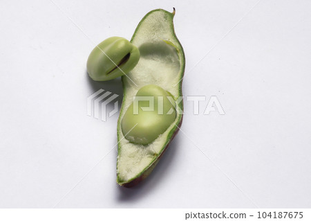 豌豆果實 豌豆果實 104187675