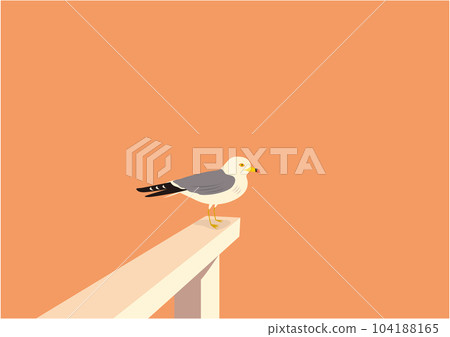 晚上棲息在白色碼頭上的黑尾鷗的插圖 104188165