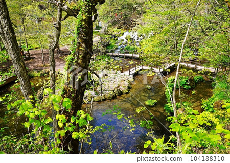 北海道京極町吹出公園 羊蹄吹出之泉 104188310