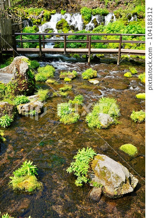 北海道京極町吹出公園 羊蹄吹出之泉 北海道京極町吹出公園 羊蹄吹出之泉 104188312