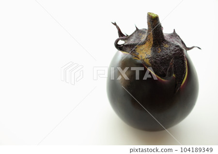 加茂茄子京都蔬菜 加茂茄子京都蔬菜 104189349