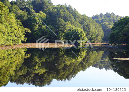 Nasaka Oikedera Nature Park Benten Pond Sinking Torii [Minakuchi Town, Koka City, Shiga Prefecture] 104189523