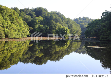 Nasaka Oikedera Nature Park Benten Pond Sinking Torii [Minakuchi Town, Koka City, Shiga Prefecture] 104189524