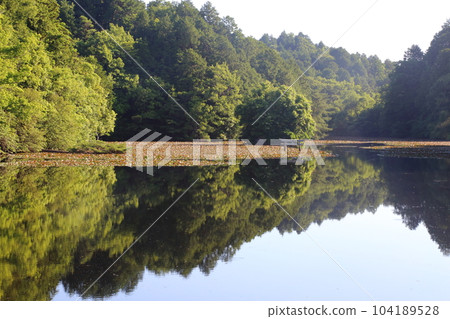 Nasaka Oikedera Nature Park Benten Pond Sinking Torii [Minakuchi Town, Koka City, Shiga Prefecture] 104189528