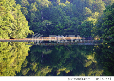 Nasaka Oikedera Nature Park Benten Pond Sinking Torii [Minakuchi Town, Koka City, Shiga Prefecture] 104189531