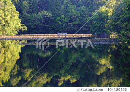 Nasaka Oikedera Nature Park Benten Pond Sinking Torii [Minakuchi Town, Koka City, Shiga Prefecture] 104189532