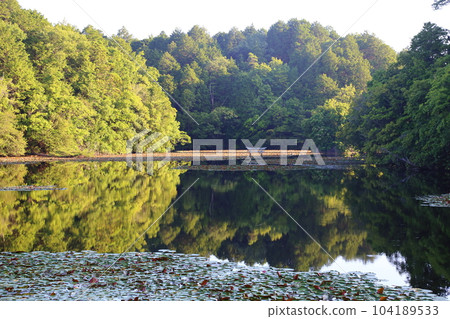 Nasaka Oikedera Nature Park Benten Pond Sinking Torii [Minakuchi Town, Koka City, Shiga Prefecture] 104189533