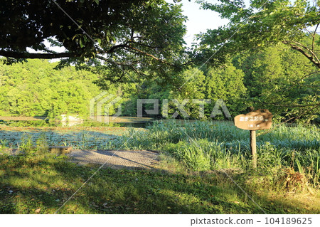 Nasaka Oike Temple Nature Park/Promenade [Minakuchi Town, Koka City, Shiga Prefecture] 104189625