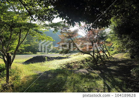 Nasaka Oike Temple Nature Park/Promenade [Minakuchi Town, Koka City, Shiga Prefecture] 104189628
