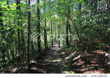 Nasaka Oike Temple Nature Park/Promenade [Minakuchi Town, Koka City, Shiga Prefecture] 104189635