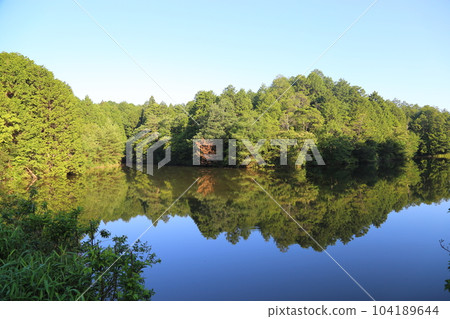 Nasaka Oike Temple Nature Park/Promenade [Minakuchi Town, Koka City, Shiga Prefecture] 104189644