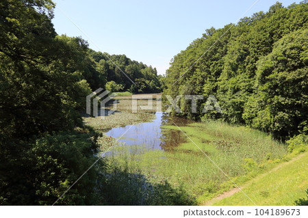 Nasaka Oike Temple Nature Park/Promenade [Minakuchi Town, Koka City, Shiga Prefecture] 104189673