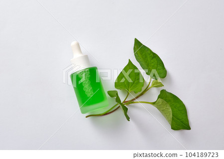 A green dropper bottle with fish mint leaves displayed on white background. Mockup for design. The vitamin C ingredient in fish mint helps to brighten skin, fade dark spots and help regenerate cells. 104189723