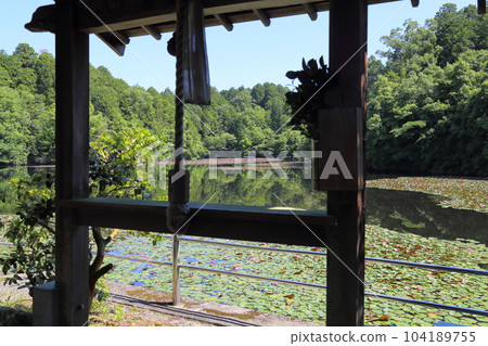 Nasaka Oikedera Nature Park Benten Pond Sinking Torii [Minakuchi Town, Koka City, Shiga Prefecture] 104189755