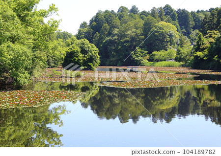 Nasaka Oikedera Nature Park Benten Pond Sinking Torii [Minakuchi Town, Koka City, Shiga Prefecture] 104189782