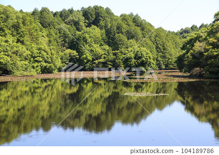 Nasaka Oikedera Nature Park Benten Pond Sinking Torii [Minakuchi Town, Koka City, Shiga Prefecture] 104189786