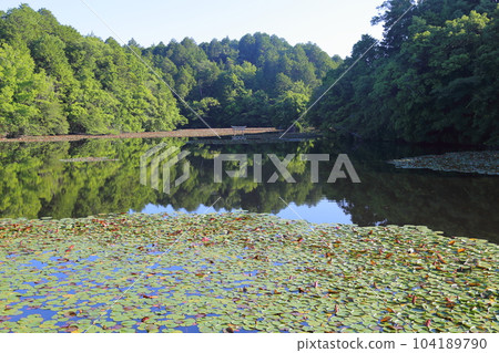 Nasaka Oikedera Nature Park Benten Pond Sinking Torii [Minakuchi Town, Koka City, Shiga Prefecture] 104189790