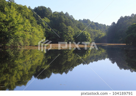 Nasaka Oikedera Nature Park Benten Pond Sinking Torii [Minakuchi Town, Koka City, Shiga Prefecture] 104189791