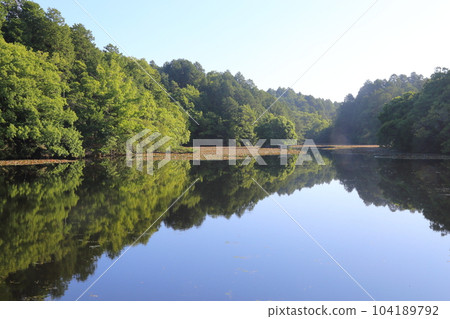 Nasaka Oikedera Nature Park Benten Pond Sinking Torii [Minakuchi Town, Koka City, Shiga Prefecture] 104189792
