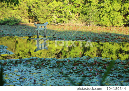 Nasaka Oikedera Nature Park Benten Pond Sinking Torii [滋賀縣甲賀市水口町] 104189844