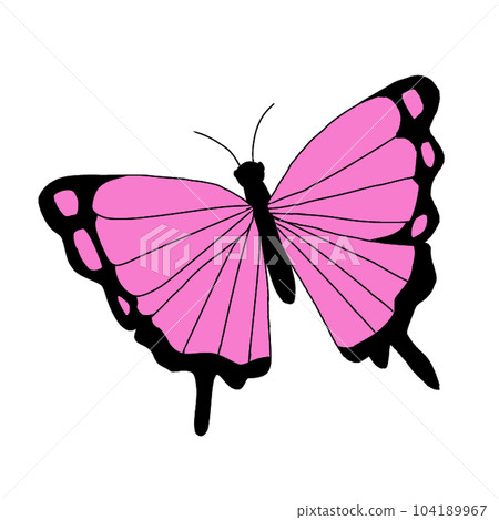 Butterfly (pink) 104189967