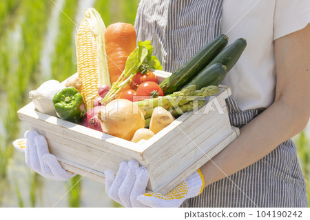 woman with assorted vegetables woman with assorted vegetables 104190242