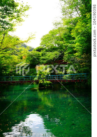 高知津野町白龍湖 104190398