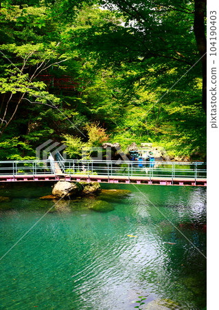高知津野町白龍湖 104190403