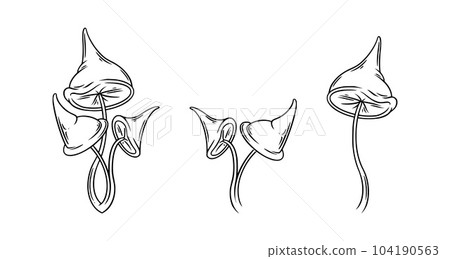 Poison mushrooms set. Psychedelic mushrooms for wicca rituals. Vector illustration 104190563