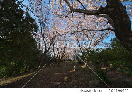 《岡山縣》瀨戶內海國立公園 富士山的春景 《岡山縣》瀨戶內海國立公園 富士山的春景 104190633