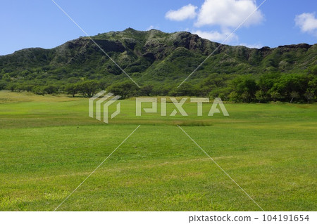 Diamond Head summit seen from Hawaii Crater Diamond Head summit seen from Hawaii Crater 104191654