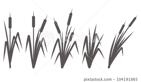 Silhouette of a reed in the grass. Swamp and river plants. Cattail isolated on white background. Vector flat illustration Silhouette of a reed in the grass. Swamp and river plants. Cattail isolated on white background. Vector flat illustration 104191865