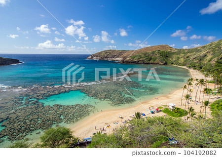 夏威夷絕美景色【恐龍灣珊瑚礁】 104192082