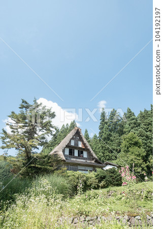 Gokayama / Ainokura Gassho-zukuri Village (Summer) 104192197