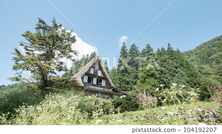 Gokayama / Ainokura Gassho-zukuri Village (Summer) Gokayama / Ainokura Gassho-zukuri Village (Summer) 104192207