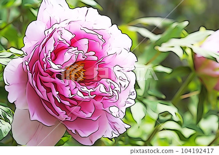 Pastel "peony" illustration image 104192417