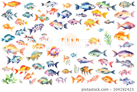 一組可愛的魚 104192423