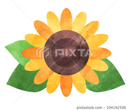 簡單的向日葵水彩插圖 簡單的向日葵水彩插圖 104192506