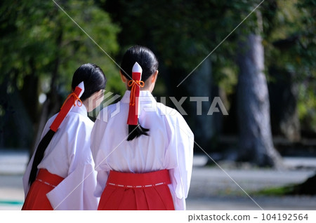 Back view of two shrine maidens looking into the distance in the precincts of a shrine 104192564