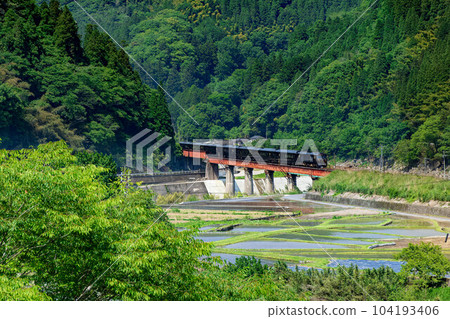 Nana Stars 104193406