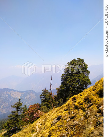 Amazing view of autumn in the mountains with trees 104193416