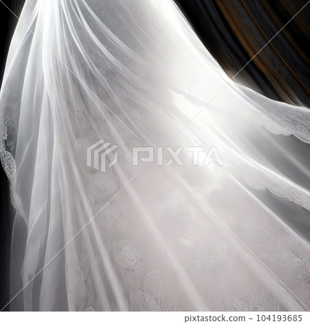 Rose with white lace Rose with white lace 104193685