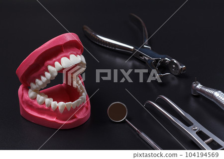 Layout of a human jaw, the rubber dam forcep and the dental hole punch Layout of a human jaw, the rubber dam forcep and the dental hole punch 104194569