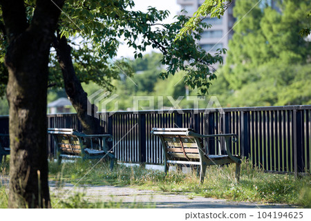 Scenery of Kema Sakuranomiya Park 104194625